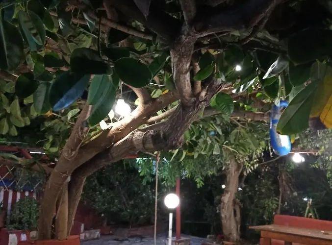 Σπίτι διακοπών Georgia Seaside