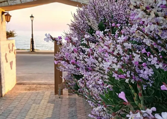 Georgia Seaside Holiday home *